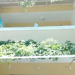 Meri Apartment *